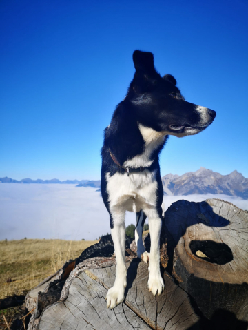 Endless Power Bax the Batman