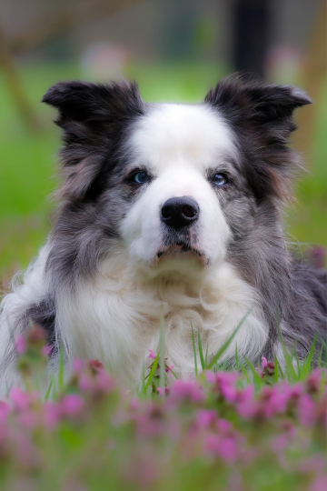 Nice Of You To Come Bye Love Potion