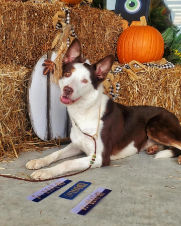 Grandam Red Dead Redemption