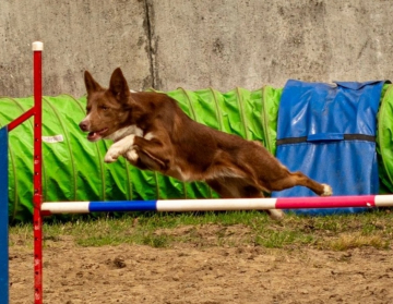 Ura Agility Ultra Ejvori