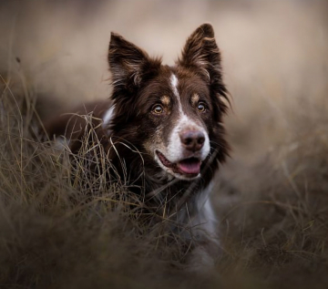 Trust Your Heart Around The World