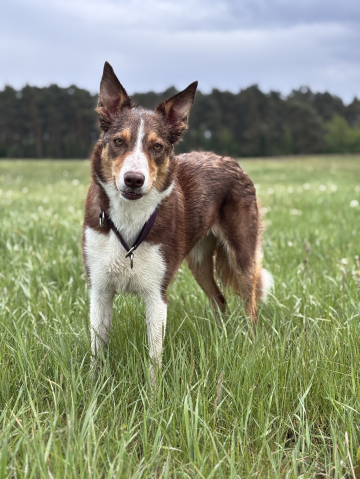 We Are One A'New Adventure