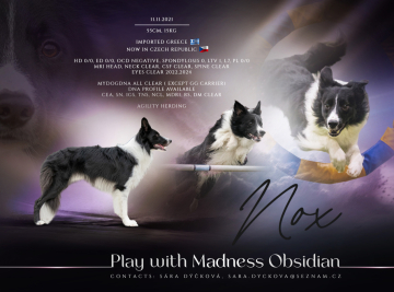 Play with Madness Obsidian