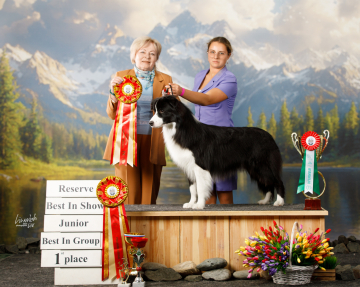 Black Bentley Bentayga