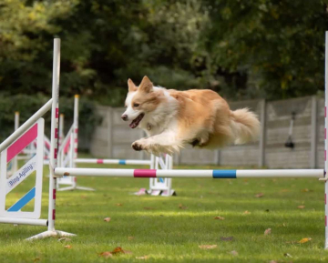 Yennefer Mystique Regni