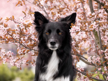A' Natural Woman From Crossroad Farm