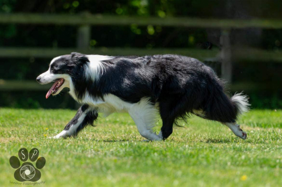 Lucky For You Ritmo De La Noche