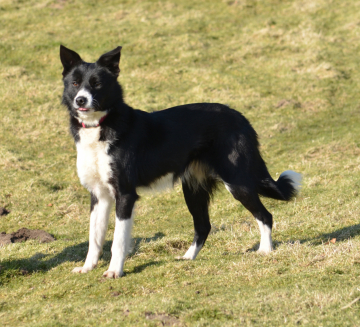 Esme at Comebyanaway