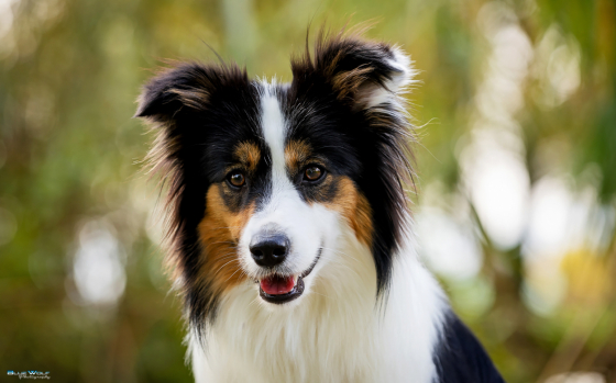 LeClway Endless Love