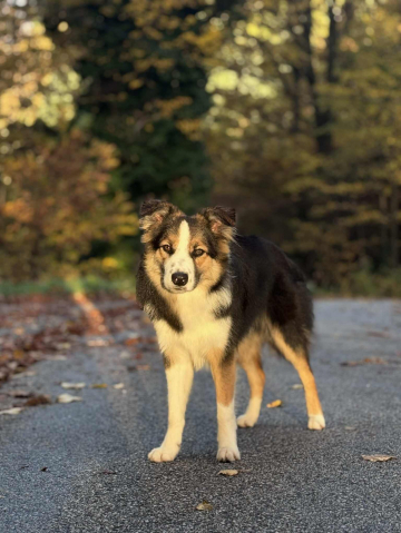 Spreads Like Wildfire The Thrill of The Rush