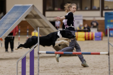 Araleza's Way De Luxe Energy