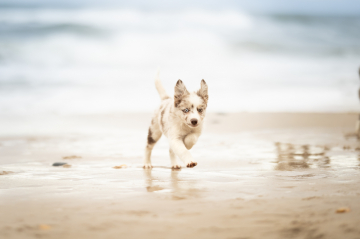 Feel The Vibe With Vilya Fly With Flow