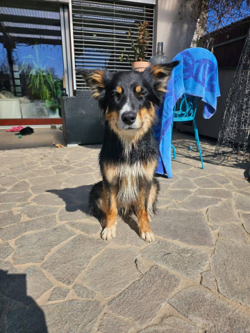 Baskervill Canem Athleta