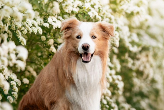 Awesome Sand Winner Of My Heart