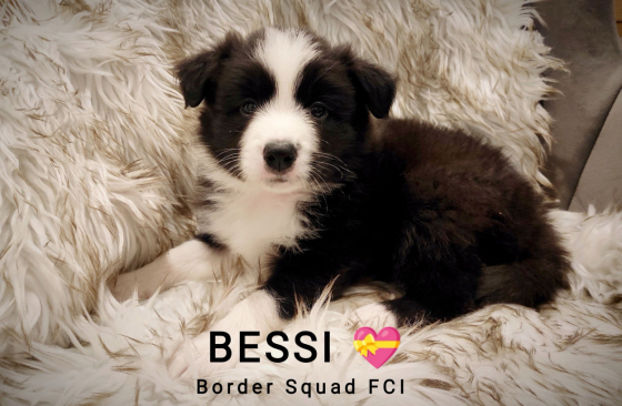 Bessi Border Squad
