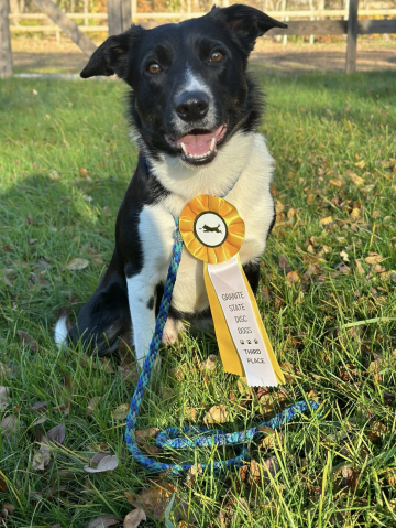 Darleyfalls Riot Gear