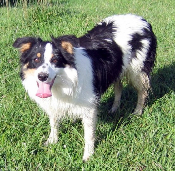 Sioux Crystal Queen of Ohutu