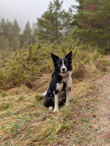 Forever Yours Ezio The Chosen One By Heart