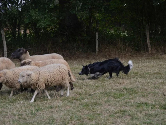 Jetlag de la Vallee du Bord'Eure
